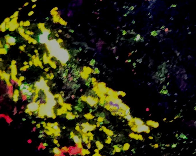 Big Shortwave SW Fluorescent Esperite Willemite Calcite Hardystonite Franklin New Jersey UV Minerals Rocks