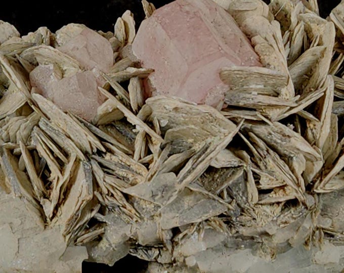 Shortwave Midwave Longwave UV Fluorescent Pink Apatite Crystals on Muscovite w Aquamarine Shigar Valley Pakistan Mineral Specimen