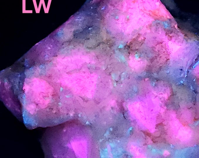 Choice Big 1.1lbs SW MW LW Uv Fluorescent + Phosphorescent Calcite Little 38 Mine Terlingua Texas - Ultraviolet Minerals