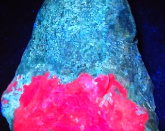 Grote, lange golf uv-fluorescerende robijn in zoisiet uit Tanzania LW helderrood ultraviolet mineraal displaymonster