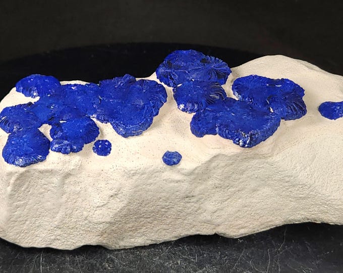 Vivid Blue Azurite Suns / Discs on White Kaolinite - Malbunka Copper Mine Australia Crystals Minerals