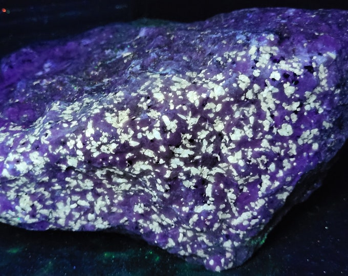 XXL 12.9lbs Shortwave SW UV Fluorescent Fluoborite with Antigorite Phlogopite Graphite Sterling Hill Mine by Franklin New Jersey