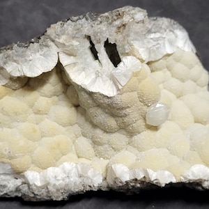 Puede incluir: Un grupo de formaciones minerales blancas y crema con una sola estructura cristalina transparente en el centro.