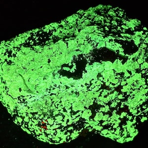 SW + LW UV Fluorescent Willemite & Minor Calcite w/ Tephroite + Franklinite Franklin Min. New Jersey Ultraviolet Mineral Specimen Rock