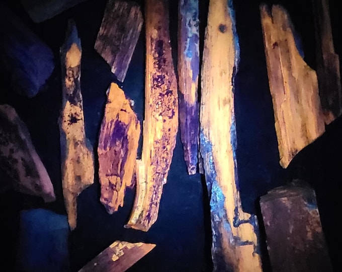 1 to 5 Pounds+ Lots Shortwave Midwave & Longwave UV Fluorescent Petrified Wood Nevada