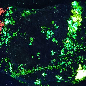 Shortwave SW UV Fluorescent 4-Color Esperite Willemite Hardystonite & Calcite Franklin Mine New Jersey Ultraviolet Minerals