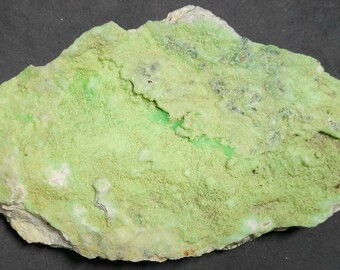 Gaspeite verde su actinolite e magnesite - Miniera di cromo di Wood, Texas, contea di Lancaster, Pennsylvania Campione minerale - Fluorescente UV SW + LW
