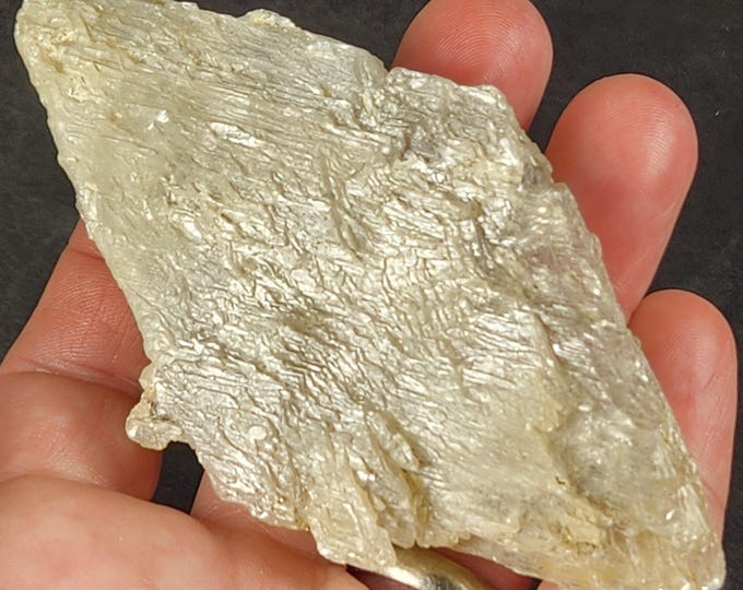 Nice Clear Gypsum var Selenite Crystals - Powder River, Wyoming, USA - Mineral Specimen