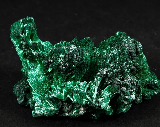 Gorgeous Fibrous Malachite Crystals from Kolwezi, Katanga, Republic of the Congo Mineral Specimen