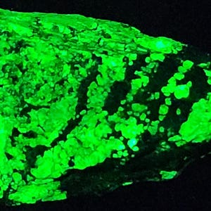 May include: A vividly glowing green mineral against a black backdrop. The rock displays a rough, textured surface with patches of bright green. The mineral's colour provides a striking contrast against the dark background, highlighting its unique features.