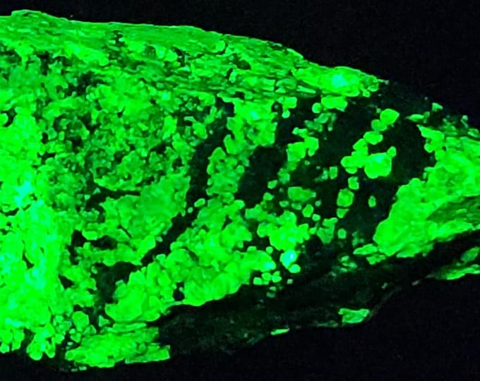 End Cut Slab SW + LW Uv Fluorescent Daylight Green Willemite with Tephroite Zincite from Franklin NJ Ultraviolet Rocks Minerals