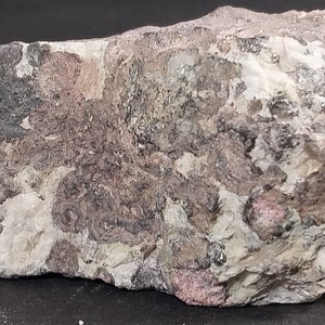 May include: A rough, gray rock with white and pink veins and speckles. The rock has a natural, irregular shape.