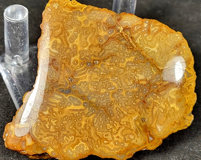2-Sided Polished Slab - Rare A++ Quartz Var Carnelian Tube Agate - Warren Twp., New Jersey, USA - Jewelry Mineral Specimen Display
