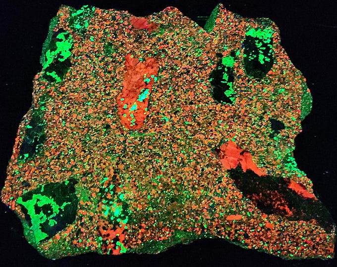 Nice 1.5lbs Shortwave SW UV Fluorescent Concrete Slab - Willemite, Calcite & Bits of Hardystonite - Trotter Dump Franklin, NJ Minerals