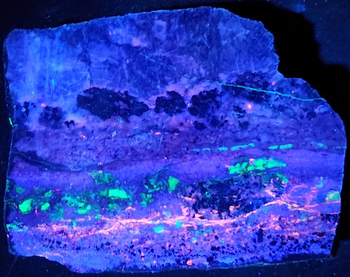 Polished End Cut Slab Shortwave + Longwave UV Fluorescent Sphalerite & Willemite from Franklin NJ Ultraviolet Rocks Minerals