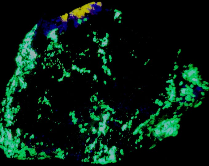 Nice Affordable Shortwave SW Fluorescent Esperite Willemite & Hardystonite Franklin Mine New Jersey UV Minerals Rocks