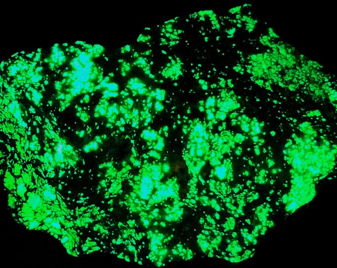 Shortwave + Longwave UV Fluorescent Willemite w NF Axinite-Mn & Grossular Franklin New Jersey UV Minerals