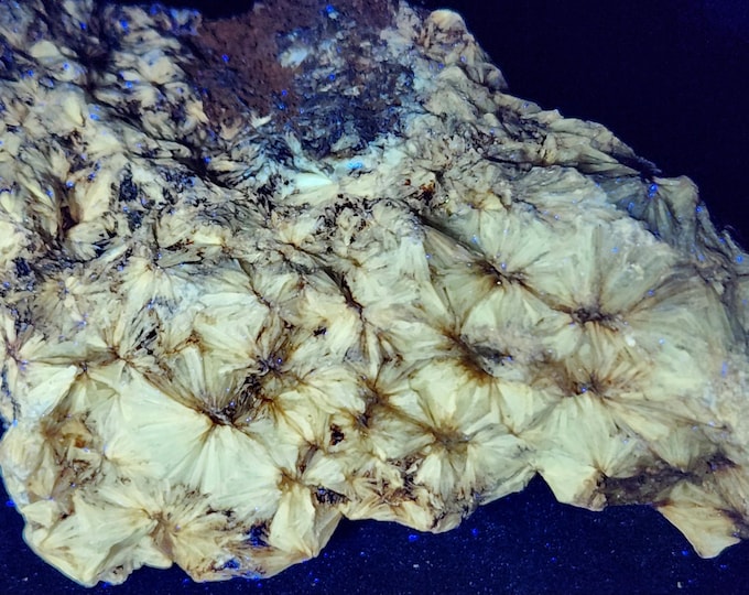 Longwave UV Fluorescent Pyrophyllite from Merced County, California - LW 365nm Ultraviolet Mineral Display Specimen