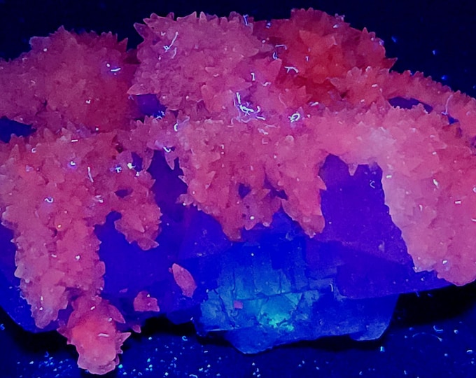 Gorgeous Daylight & UV Dogtooth Calcite on Water Clear Fluorite - Yaogangxian, China - Shortwave Midwave Longwave Fluorescent