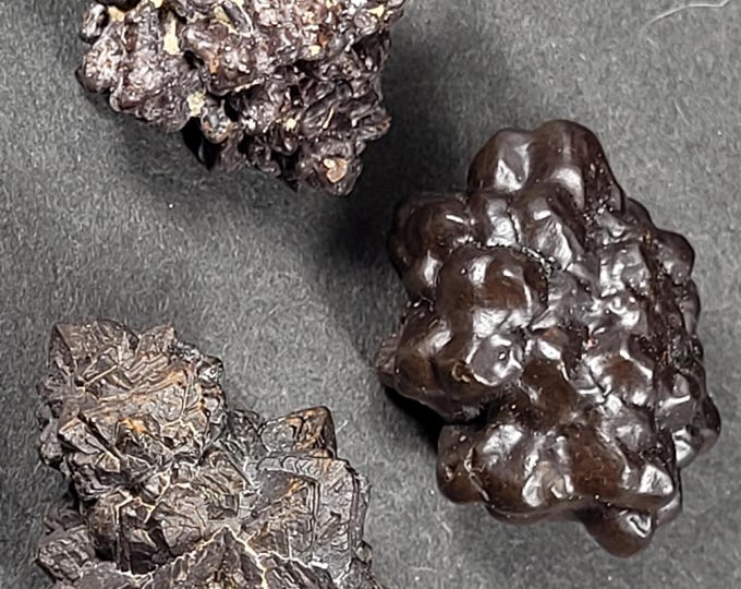 Lot of 3x A++ Prophecy Stones Hematite Limonite Pseudomorphs after Marcasite Crystals from the White Desert, Egypt Mineral Specimens