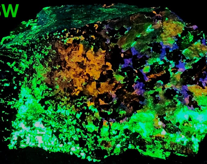 Shortwave + Longwave UV Fluorescent Clinohedrite Hardystonite Willemite & LW Bustamite Franklin New Jersey Minerals Rocks