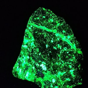 SW + LW Ultraviolet Fluorescent + SW Phosphorescent Willemite Veins w/ Zincite & Franklinite Sterling Hill by Franklin New Jersey Uv Mineral