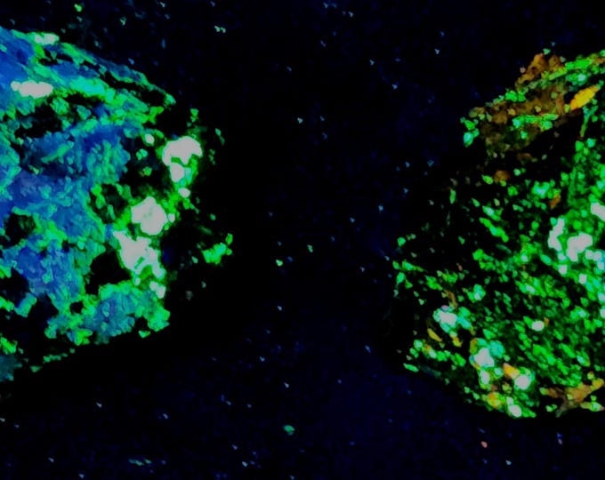 Lot of 2x Shortwave SW UV Fluorescent Clinohedrite, Hardystonite & Willemite Franklin, New Jersey Ultraviolet Rocks Minerals