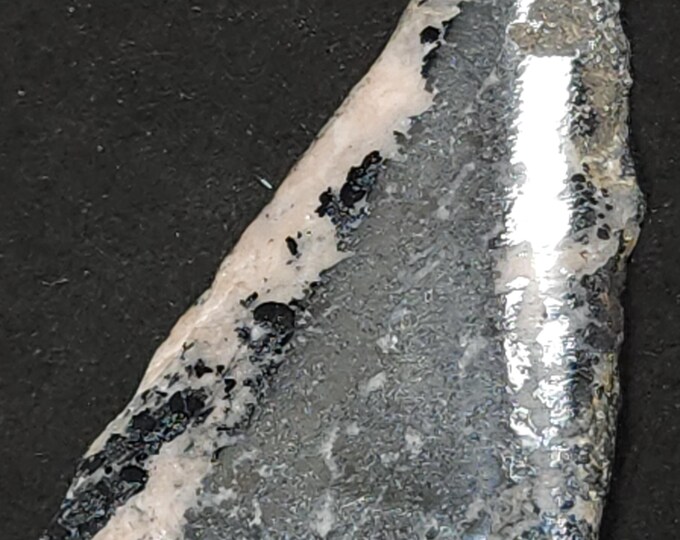 Polished Native Silver Slab with Silver Minerals from Cobalt, Ontario, Canada Mineral Specimen Rock Jewelry