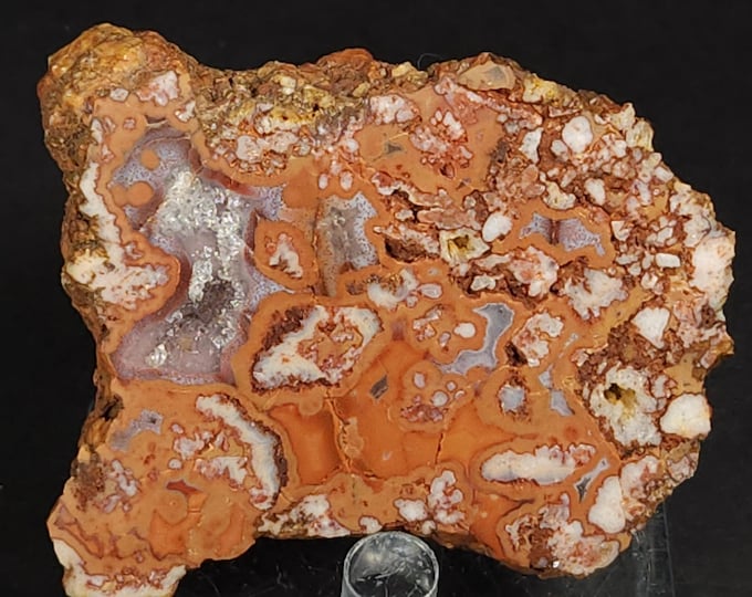 A++ Fancy Brecciated Agate & Jasper Polished 1/2 Nodule - from Zirandaro, Guerrere, Mexico