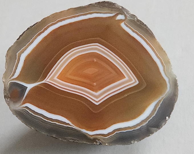 Choice Polished Banded Condor Agate End Cut Slab - San Rafael Mendoza, Argentina - Mineral Specimen Display