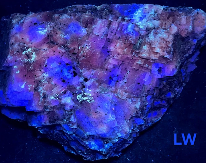XL 9lbs Multi-Wave UV Fluorescent Midwave / Longwave LW Blue & Pink Calcite Franklin New Jersey Ultraviolet Minerals Rocks