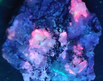 SW MW LW Ultraviolet Fluorescent "Fantasy Rock" Tugtupite Sodalite Chkalovite Analcime Polylithionite Greenland Uv Minerals