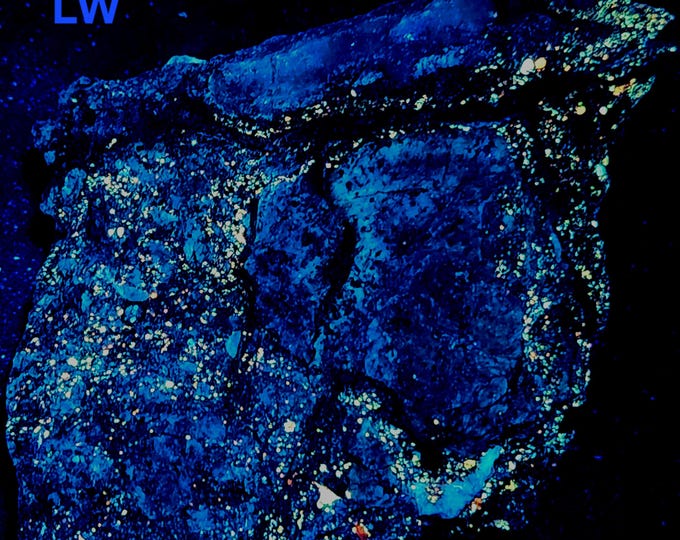 Affordable LW & MW Uv Fluorescent + LW Phosphorescent Sphalerite - Horn Silver Mine, Frisco, Utah