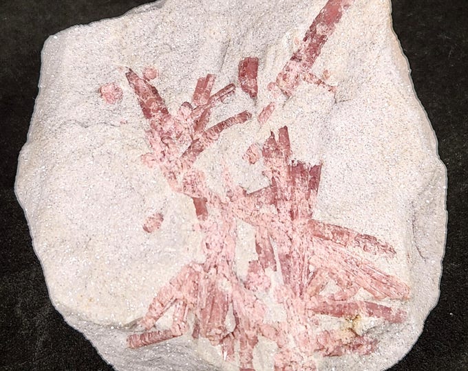 Shortwave SW UV Fluorescent - Rubellite Tourmaline Crystals in Lepidolite from Pala, California, USA - Mineral Specimen