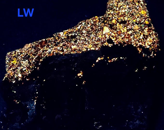 Nice Rich Band of LW & MW Uv Fluorescent + LW Phosphorescent Sphalerite - Horn Silver Mine, Frisco, Utah