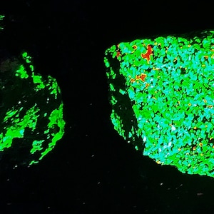 Lot of 2x Shortwave SW Ultraviolet Fluorescent Mineral Specimens Willemite w Calcite & Hyalophane Franklin New Jersey