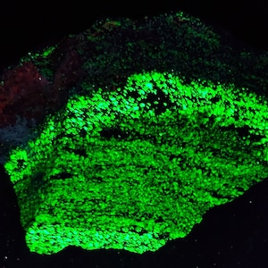 XXL SW + LW Fluorescent &quot;Blue&quot; & Red Willemite, Calcite + Sphalerite w/ Silky Blue Fibrous Magnesio-Riebeckite Franklin New Jersey Minerals