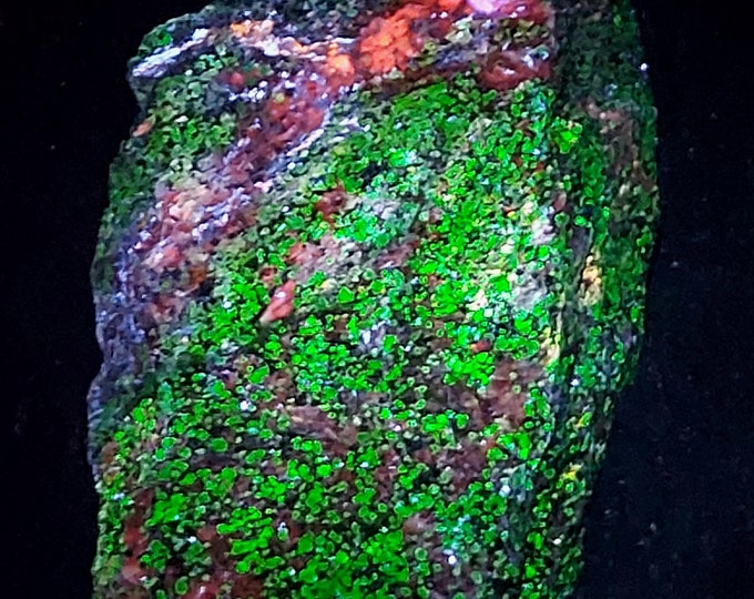 Big Shortwave SW & Longwave LW Ultraviolet Fluorescent Sphalerite Vein in Willemite + CalciteSterling Hill Mine by Franklin NJ Uv Minerals