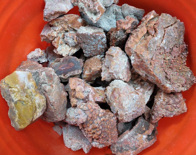 2lbs+ Lot of Agatized Fossil Dinosaur Poop - Morrison Formation, Utah, USA - Collectible Dino Fossils or Lapidary Rough Stones