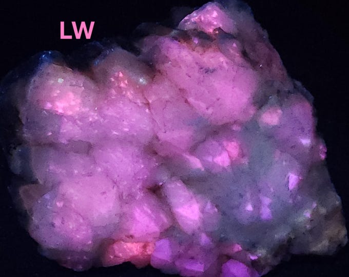 Choice Big 1.6lbs SW MW LW Uv Fluorescent + Phosphorescent Calcite Little 38 Mine Terlingua Texas - Ultraviolet Minerals