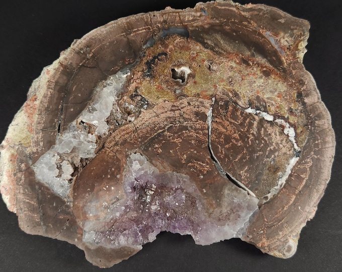Big & Beautiful Polished "Candy Apple" Agate 1/2 Geode w Vug of Amethyst Crystals + Reverse Scepters - Chihuahua, Mexico