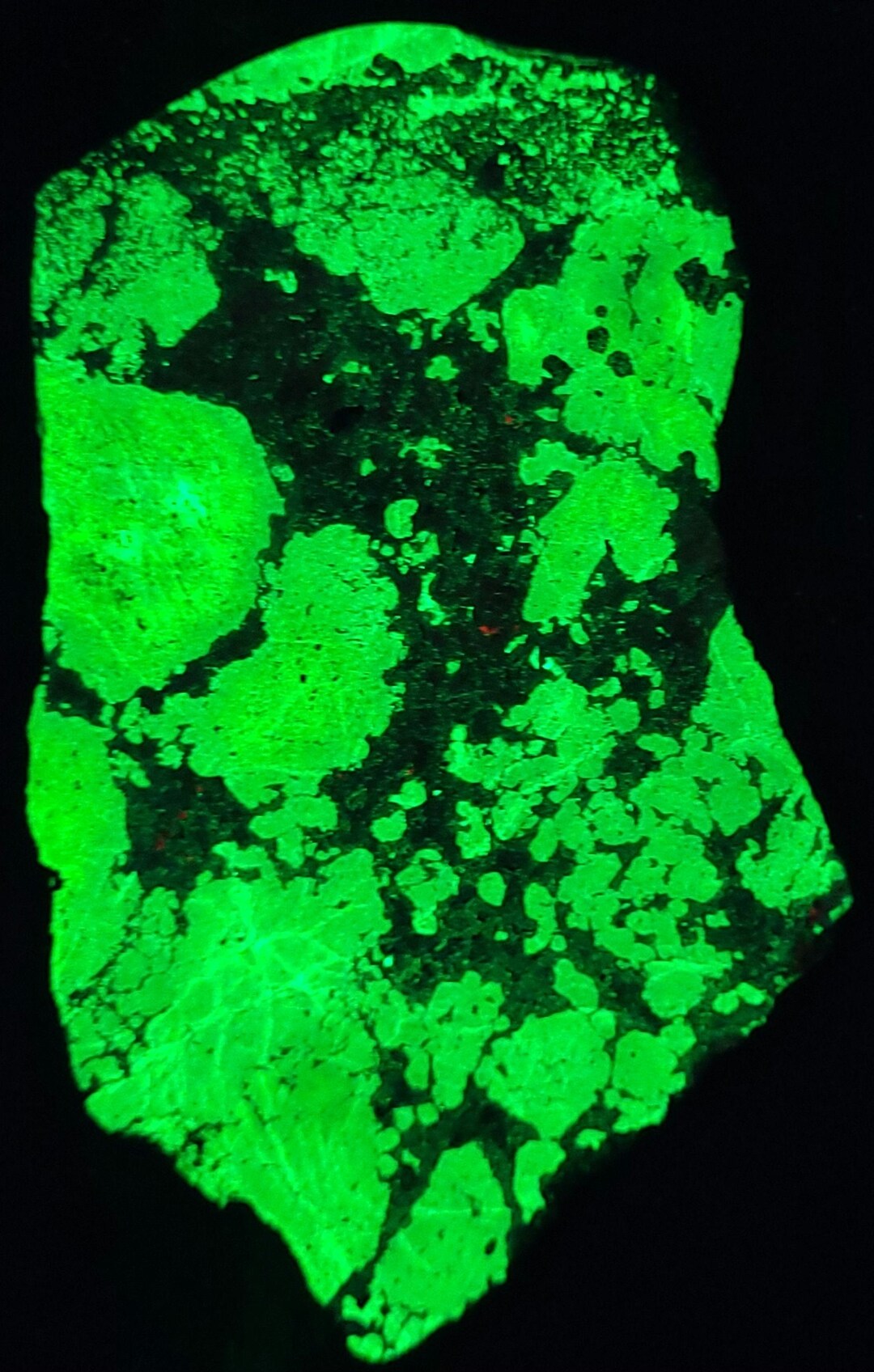 Polished Slab Shortwave + Longwave UV Fluorescent Willemite W Pink ...