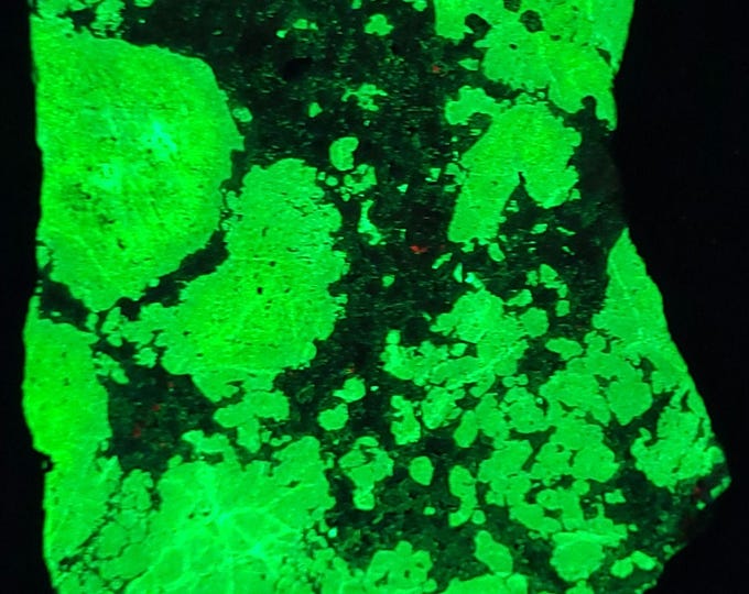 Polished Slab Shortwave + Longwave UV Fluorescent Willemite w Pink Rhodonite & Franklinite from Franklin NJ Ultraviolet Rocks Minerals
