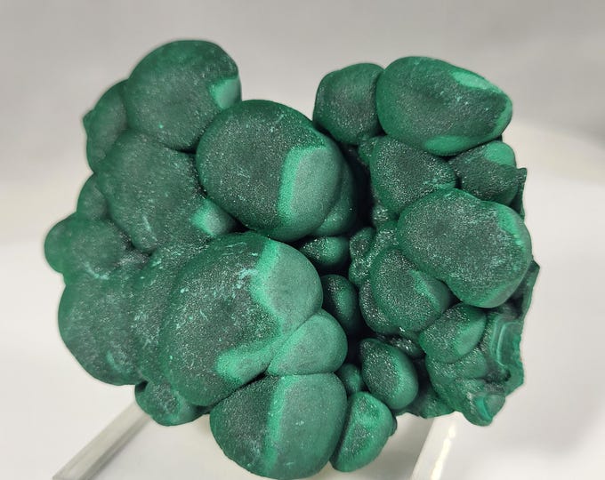Top Shelf Sparkly Botryoidal 2-Tone Green Velvet Malachite Crystals from Shilu Mine, Guangdong Province, China Mineral Display Specimen