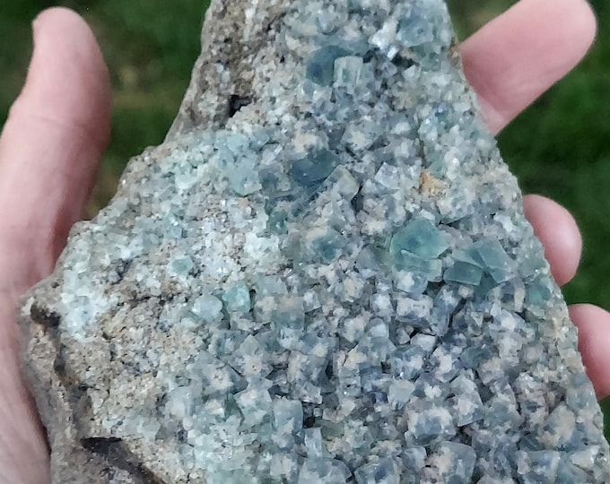 Green Fluorite Crystals Rogerley Mine England Daylight Blue + Shortwave & Longwave UV Fluorescent