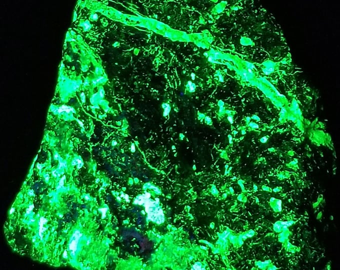 SW + LW Ultraviolet Fluorescent + SW Phosphorescent Willemite Veins w/ Zincite & Franklinite Sterling Hill by Franklin New Jersey Uv Mineral