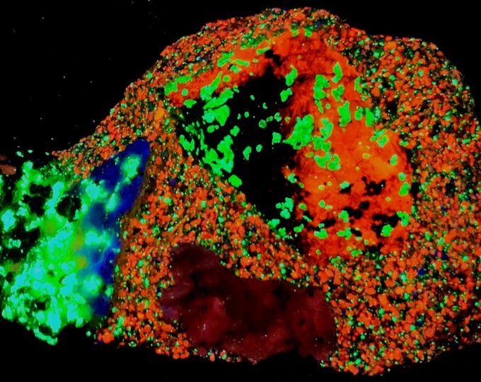 A++ Shortwave SW UV Fluorescent Concrete Chunk - Willemite, Calcite, Hardystonite & Barite - Trotter Dump Franklin, New Jersey Minerals