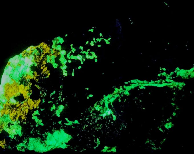 Nice Affordable Shortwave SW Fluorescent Esperite & Willemite - Franklin Mine New Jersey UV Minerals Rocks