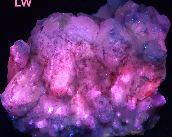 Choice X-Large 3.2lbs SW MW LW Uv Fluorescent + Phosphorescent Calcite Little 38 Mine Terlingua Texas - Ultraviolet Minerals