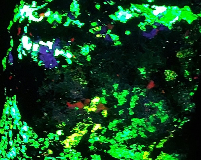 Shortwave Fluorescent 4-Color Esperite Willemite Calcite & Hardystonite Franklin Mine New Jersey UV Minerals SW Ultraviolet